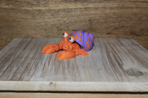 Tattooed Hermit Crab
