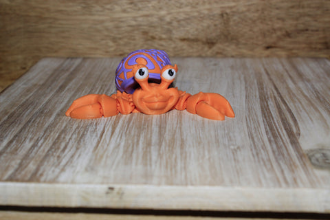 Tattooed Hermit Crab