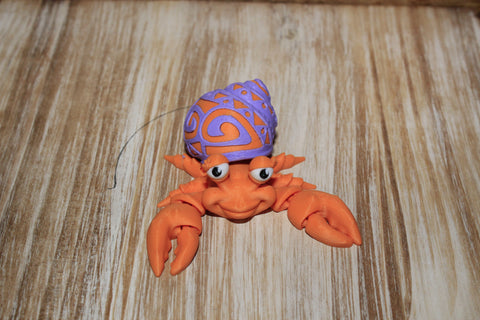 Tattooed Hermit Crab