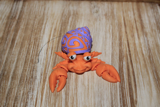 Tattooed Hermit Crab