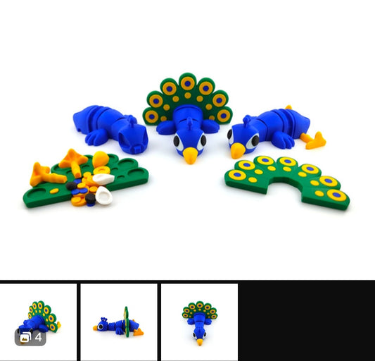 Pluma the Peacock