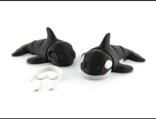 Orbit the Orca